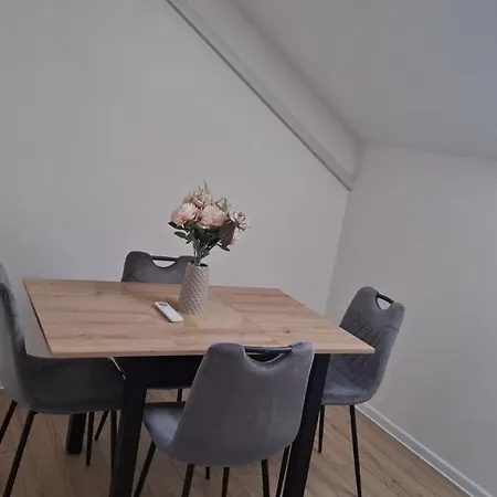 L&l Apartman-besplatan Parking, Wifi, Centar Apartment Smederevska Palanka
